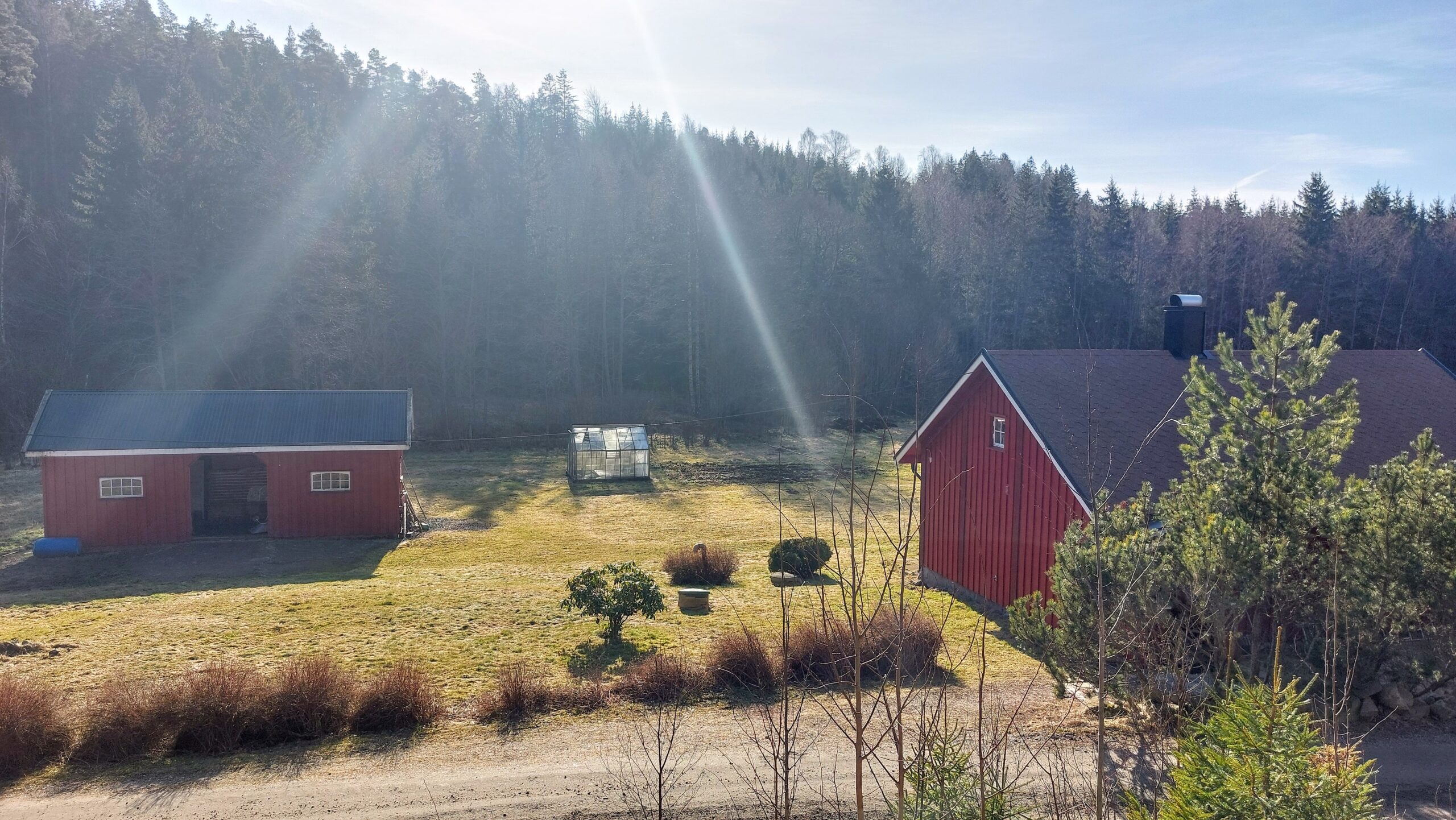 Håp i Jerndalen: Firma og Familieblogg